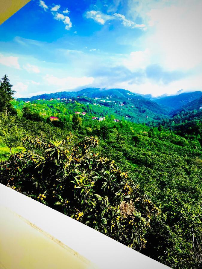 Five Stars Apart Aparthotel Trabzon Exterior foto